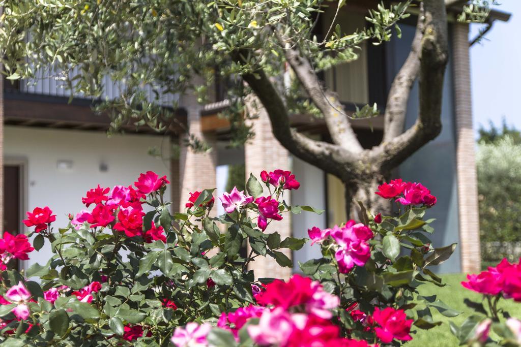 Hotel Relais Agli Olivi Lazise Eksteriør billede